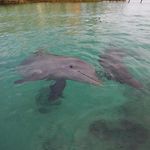 Casa Eden - Oceanario Islas Del Rosario