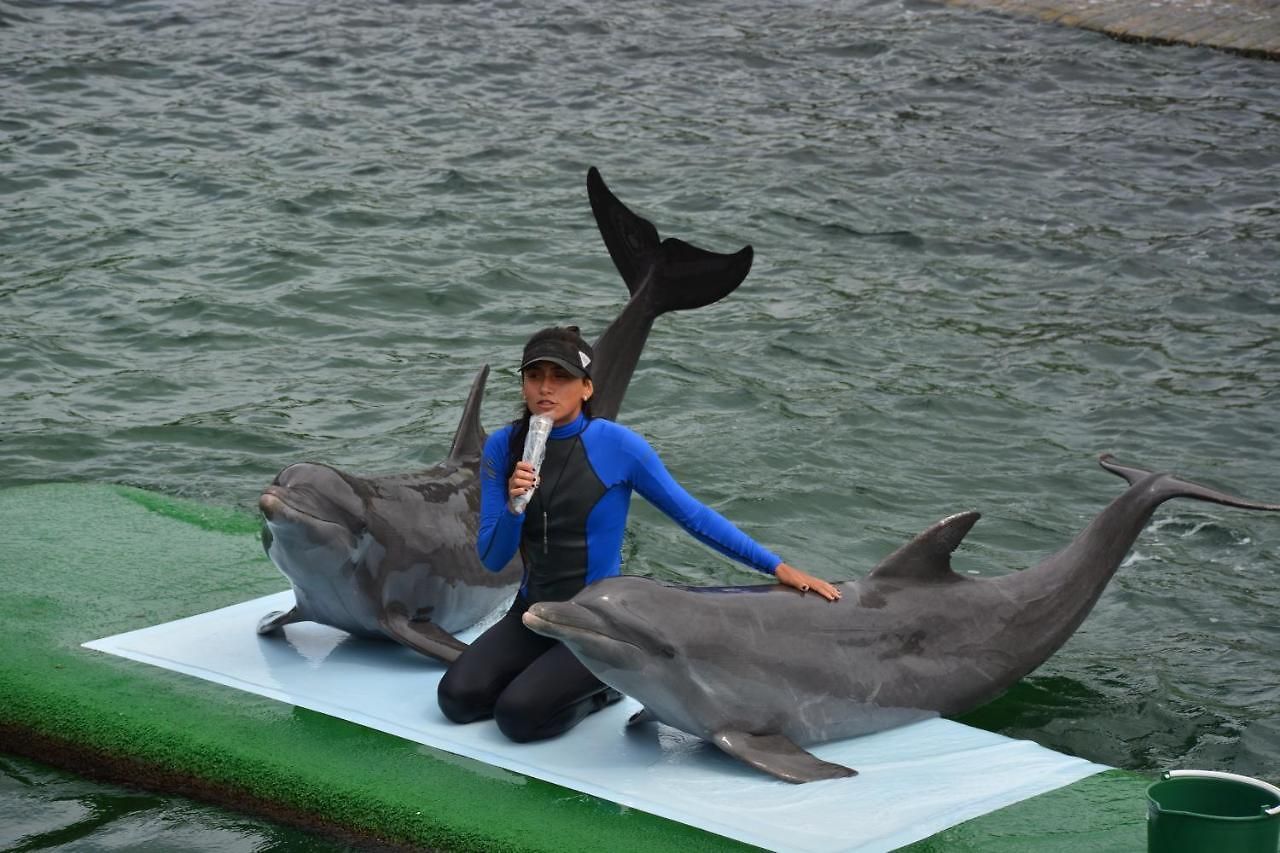 Bed & Breakfast Casa Eden - Oceanario Islas Del Rosario *