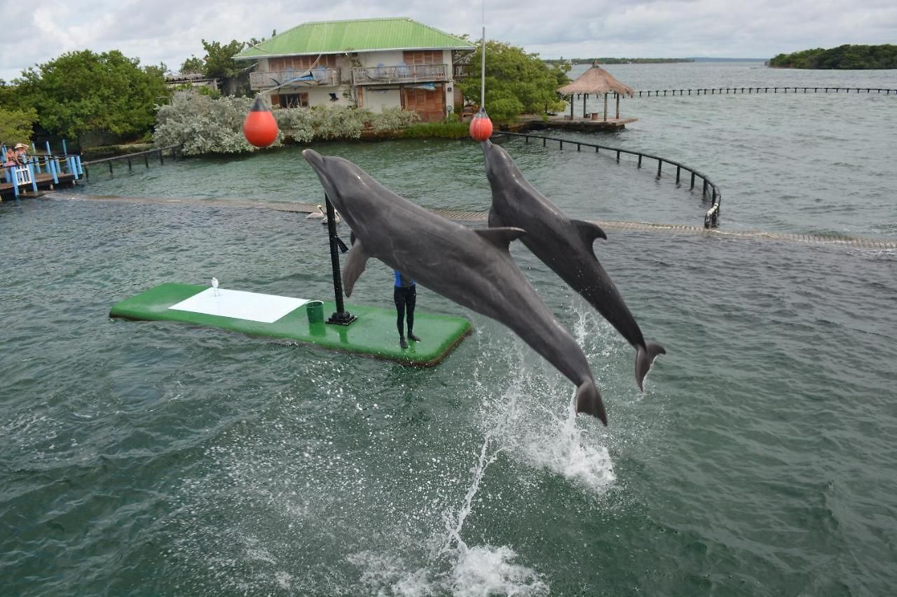 Casa Eden - Oceanario Islas Del Rosario *