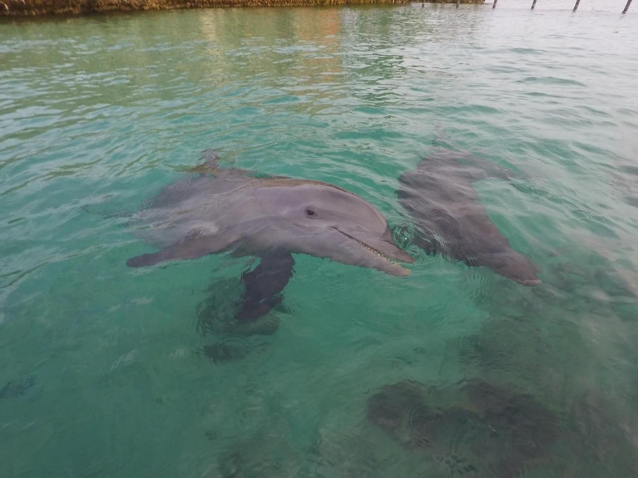 Casa Eden - Oceanario Islas Del Rosario Bed & Breakfast *