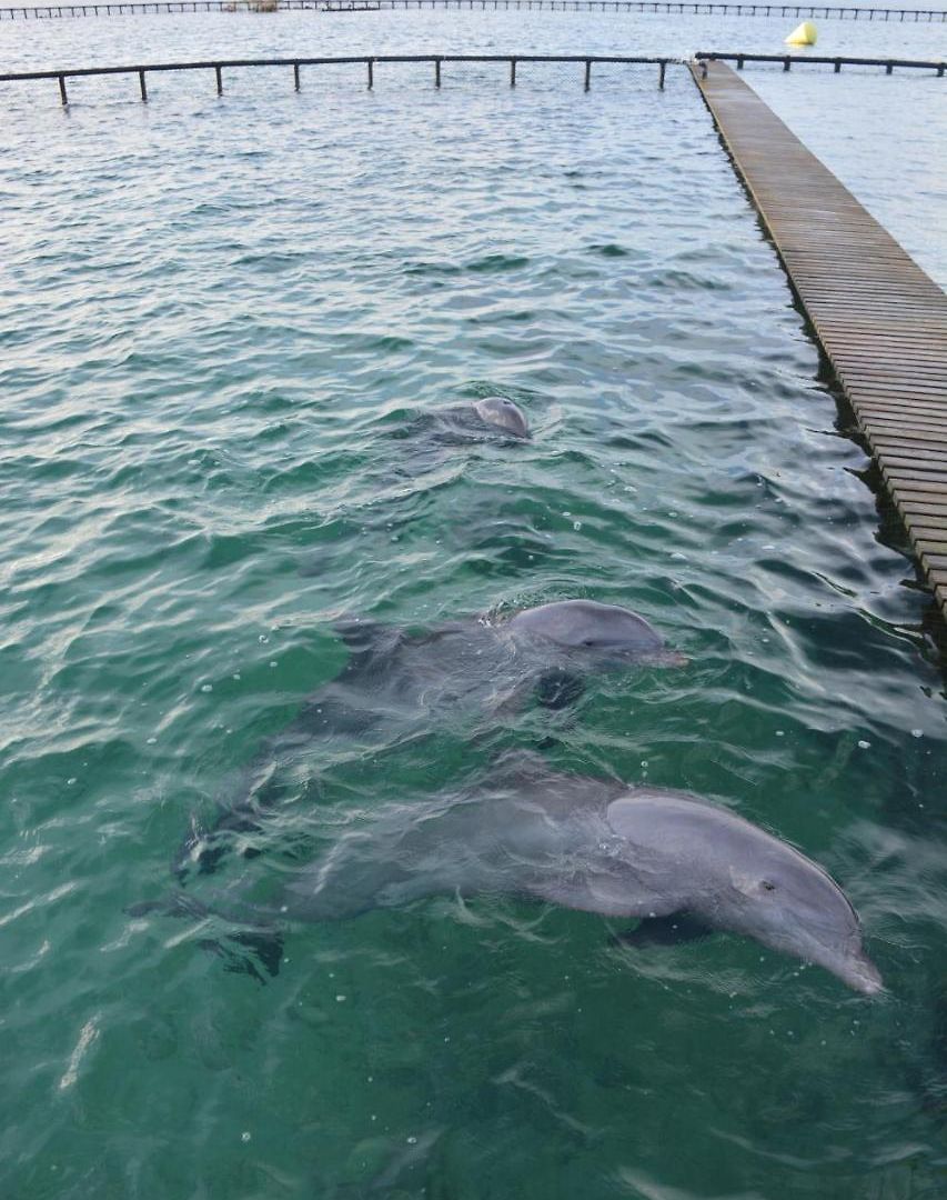Casa Eden - Oceanario Islas Del Rosario Cartagena