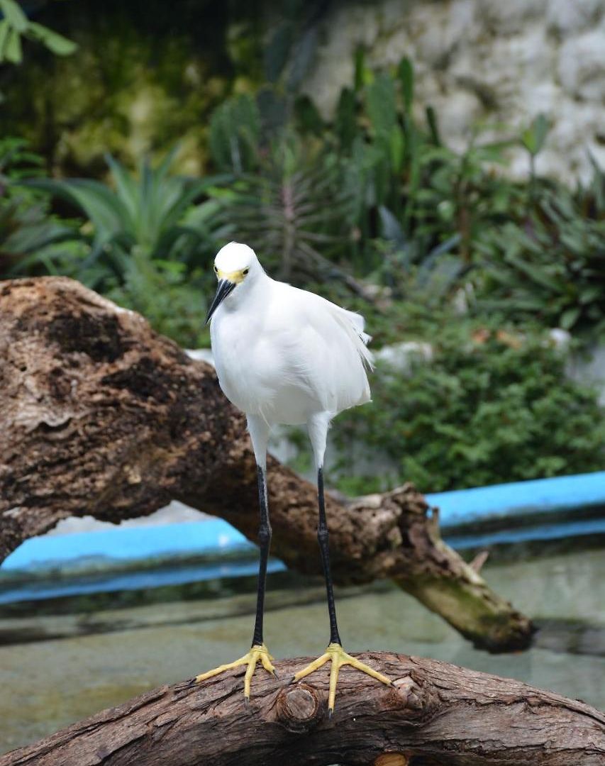 Casa Eden - Oceanario Islas Del Rosario