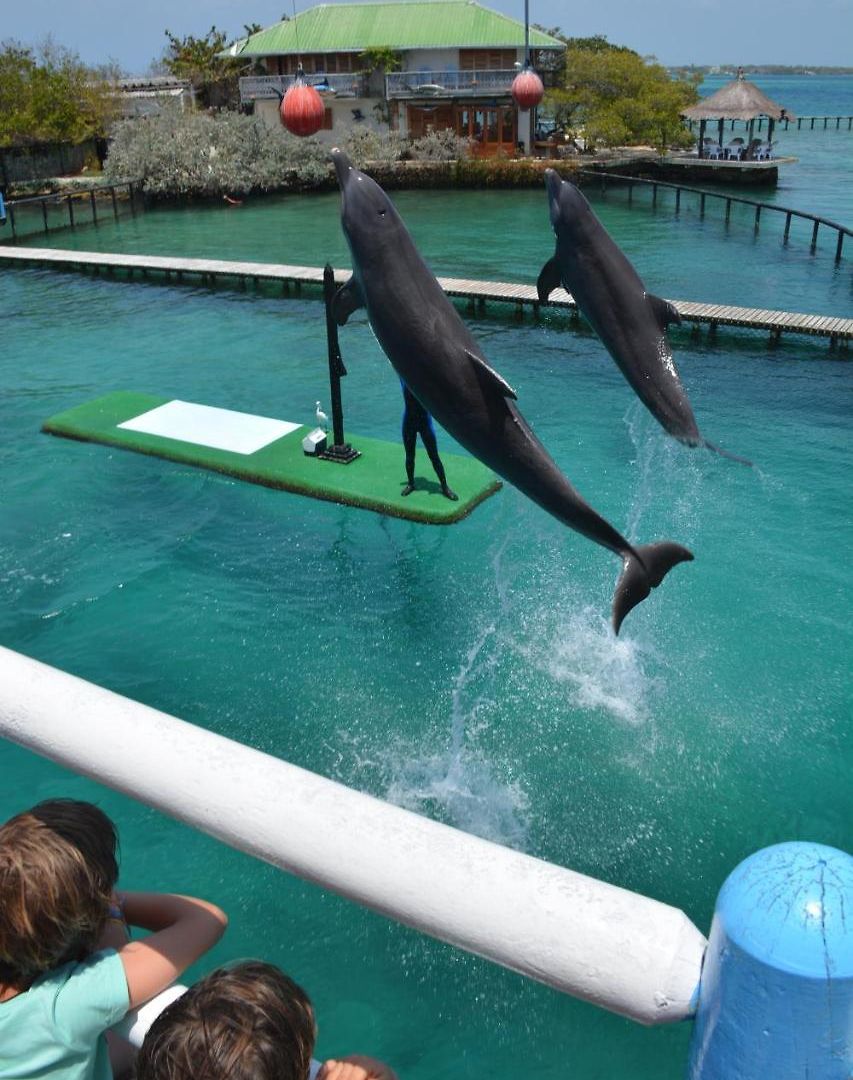 Bed & Breakfast Casa Eden - Oceanario Islas Del Rosario Cartagena