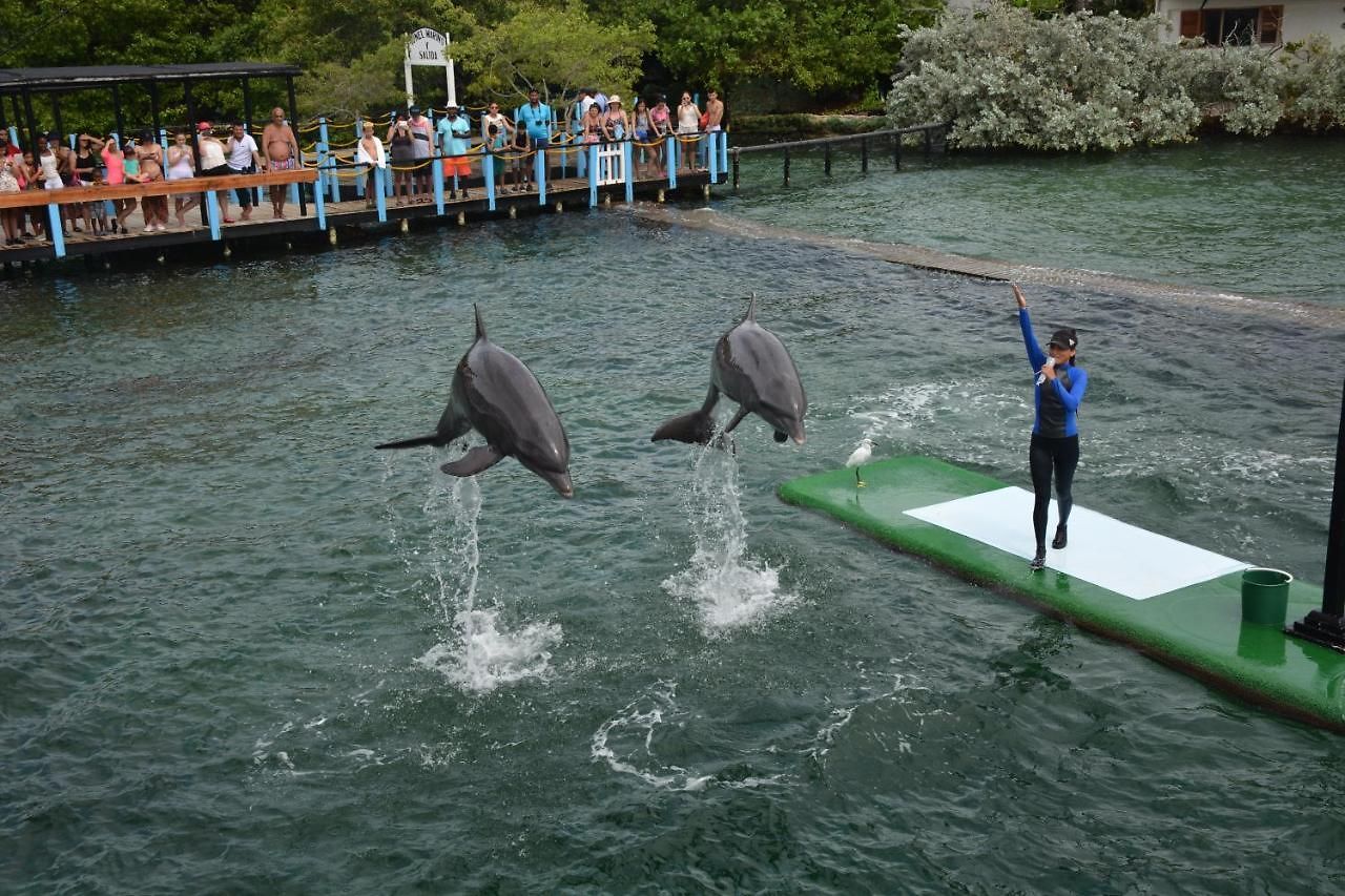 Bed & Breakfast Casa Eden - Oceanario Islas Del Rosario *