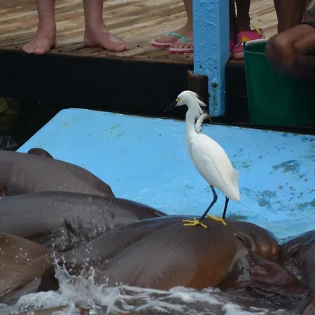 Bed & Breakfast Casa Eden - Oceanario Islas Del Rosario
