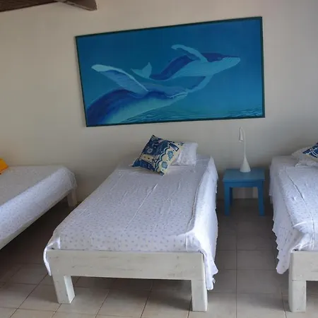 Casa Eden - Oceanario Islas Del Rosario Bed & Breakfast