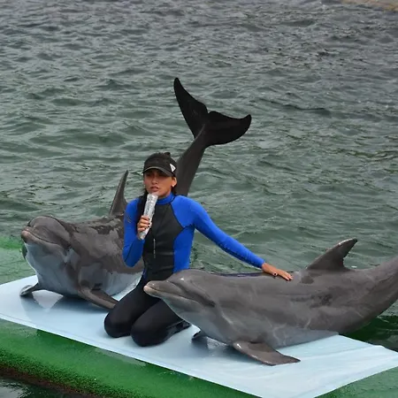 Bed & Breakfast Casa Eden - Oceanario Islas Del Rosario *