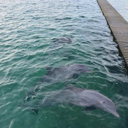 Casa Eden - Oceanario Islas Del Rosario Cartagena