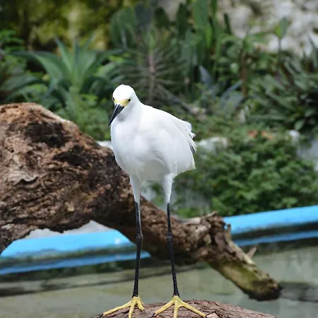 Casa Eden - Oceanario Islas Del Rosario