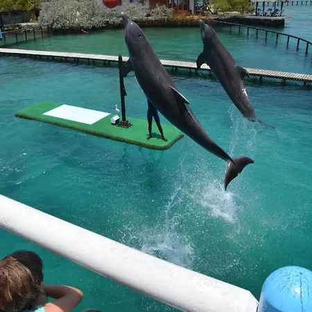Bed & Breakfast Casa Eden - Oceanario Islas Del Rosario Cartagena